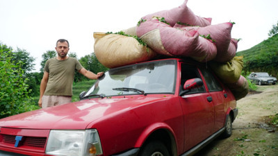 Otomobil kamyonet oldu! Çay bohçalarıyla doldu: Rize'de ilginç manzara