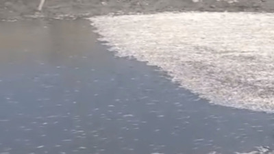 Hatay’da balık ölümleri yaşandı