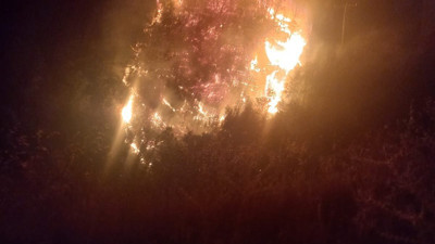 Aydın'da orman yangını büyümeden kontrol altına alındı