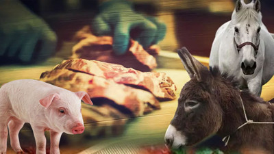 Gıdada at, eşek ve domuz eti şoku! Bakanlık harekete geçti