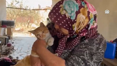 Çanakkale yangınında kaybetmişti: ‘Boncuk’ ile sahibi mutlu sona ulaştı!