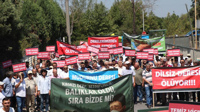 Akyazı’da çevre katliamına karşı yürüyüş: Balıklar öldü, sıra insanlarda mı?