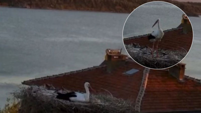 Yaren Leylek Sındırga depremini canlı yayında hissetti: Adem Amca ile dostluğu filmlere konu olmuştu