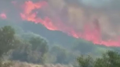 Son dakika... İzmir'de orman yangını!