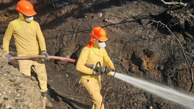 Uşak'taki orman yangını kontrol altında!