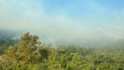 Bakan Yumaklı'dan orman yangını açıklaması