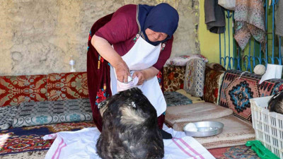 Tulum peynirinin mağaradaki lezzet yolculuğu devam ediyor