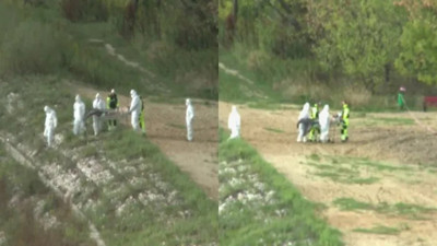 Derinliklerin büyüsü! Avustralya’nın deniz kızı efsanesi