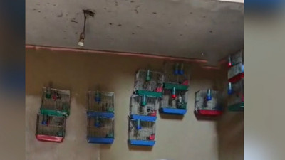 2 bin yıllık efsane! Şans getirdiğine inanılır: 21 adet ele geçirildi