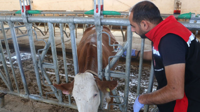 Erzincan’da hastalığa karşı yoğun aşı uygulaması