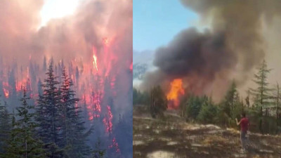 Büyük ihmalkarlık 80 hektar ormanı kül etti!