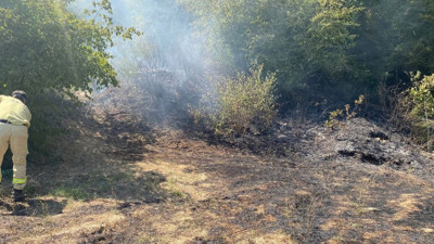 Kırklareli'de orman yangını