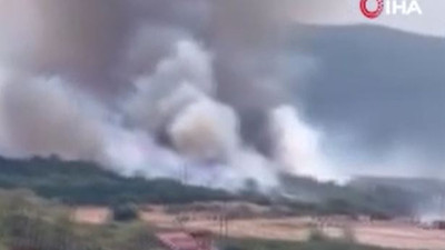 Bursa’da orman yangını