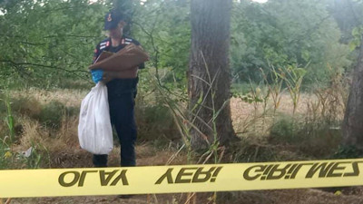 Mısır tarlasında kan donduran buluş! Kemikler, DNA testinde o kişiyi gösterdi