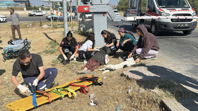 Hemzemin geçitte facia! Kadın savruldu