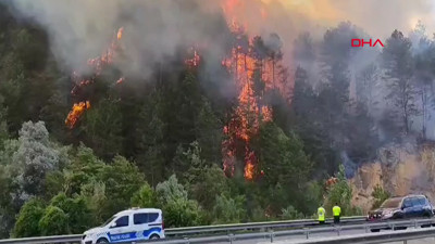 Bolu'da orman yangını