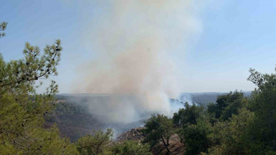 Orman yangınlarında askerler ve köylüler seferber oldu