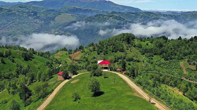 Karadeniz’de alerji alarmıyla ilgili hayat kurtaran uyarılar