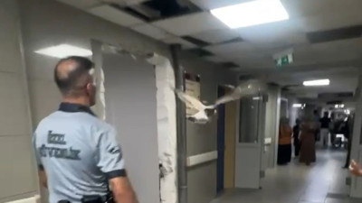 Bursa’da yolunu şaşıran martı acil servisi birbirine kattı! Uçarak içeri girdi