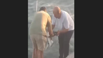 Balık yerine martı tuttu