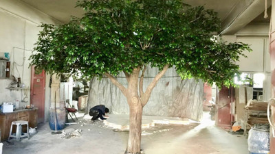 Geleceğin ormanları yapay ağaçlaryıla önemli tespitler