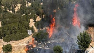 İzmir'de şehrin göbeğinde orman yangını. Korku ve panik yarattı. Sebep sigara izmariti