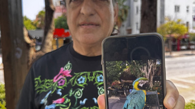 Antalya'da çalınan papağan bulundu