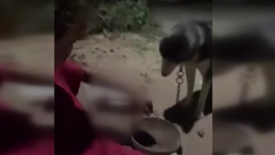 Vicdanları kanatan görüntü! Kana kana içti: “Benden alkolik” dedi