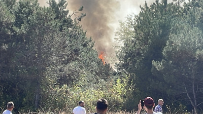 Sakarya’da orman yangını! Mahalleli söndürme mücadelesine başladı