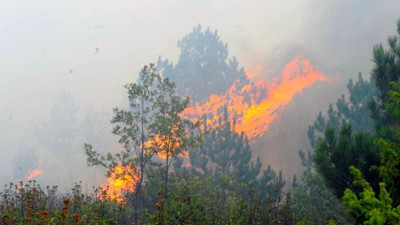 Amasya’da orman yangını
