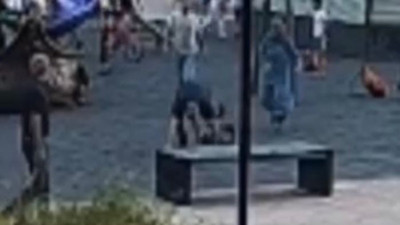 Parkta oynayan çocukları yerden yere vurdu