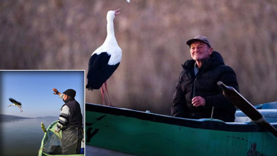 Bursa’da ‘Yaren’ leylek şaşırttı! Bu yıl erken veda etti: Gidişi sosyal medyada yankı uyandırdı