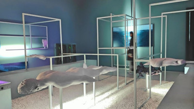 Yapay zeka devrimi sanat dünyasını sarsıyor! Jeu de Paume'nin eleştirel bakışı