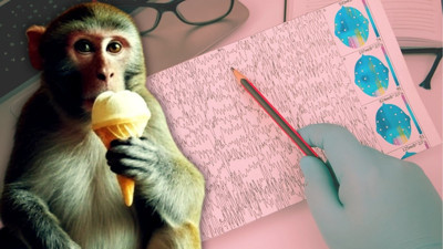 Çağın vebası 13 maymun bitirecek: 10 milyon 742 bin TL ödendi