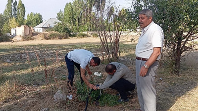 İçme suyuyla bahçe sulayanlar yandı! Patnos mercek altında