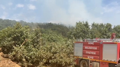Bingöl’de orman yangını paniği: Helikopter devrede!