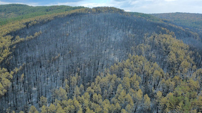 Karabük'te yangın sonucu ormanlar kül oldu!