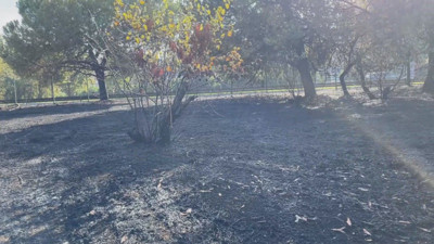 Şişli’de ağaçlık alanda yangın