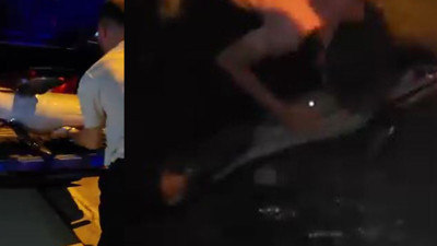 Bursa’da ölü yunus balığı kıyıya vurdu