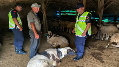 Kırşehir’de hırsızlara dron şoku