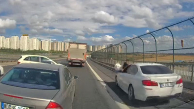 Kediyi kurtarırken canından oluyordu! TEM Otoyolu'nda ilginç olay