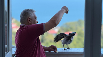 Fındık bahçesinden gelen dostluk! Hamsiyi çok seviyor