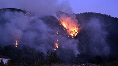 Karabük’te orman yangını