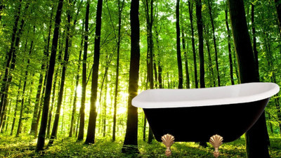 Doğanın iyileştirici gücü: Orman banyosu stresi azaltıyor mu?