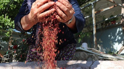 Türk mutfağının gizli hazinesi