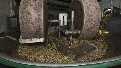 Türkiye'nin 135 yıllık devi batıyor. Rakipleri bile şaşkına döndü