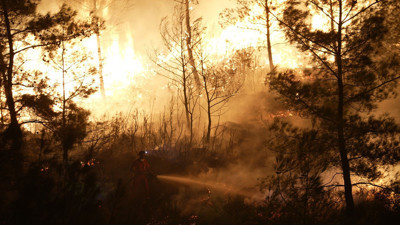 Muğla'da ekipler yangınlar mücadele ediyor