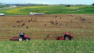 Müşterisi ısrar edince şansa buldu restoranı para bastı. Türkiye'de de girmeyen tek ev yok.