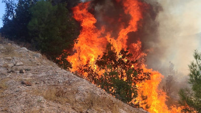 Balıkesir’de orman yangını! Ekipler söndürmek için seferber oldu