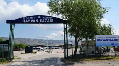 Şap hastalığı alarma geçirdi: Şehirde hayvan pazarı kapatıldı!